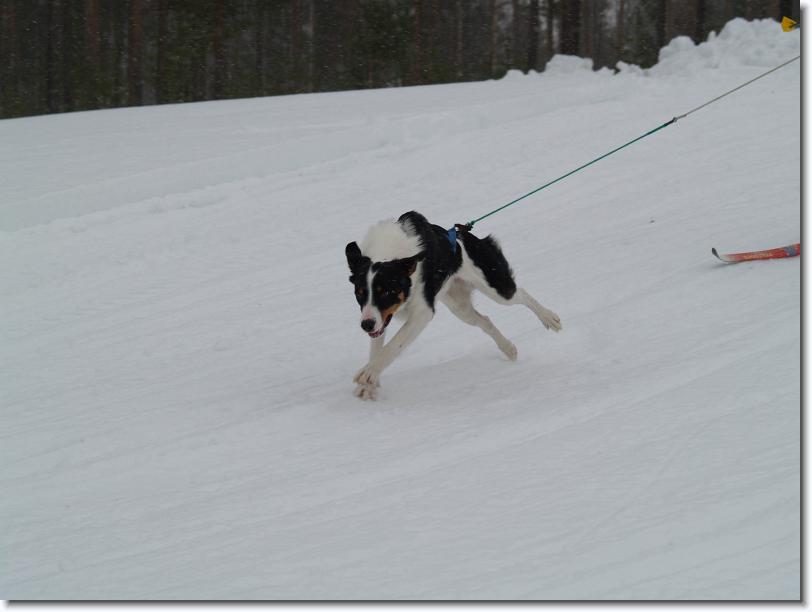 Nästa bild